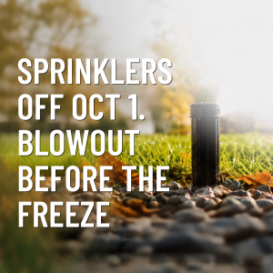 Professional sprinkler blowout service in Denver